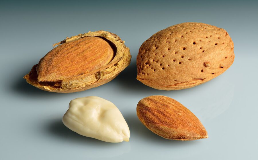 Almond (Prunus dulcis) fruit with seeds – in shell, shell cracked open, shelled and blanched seed