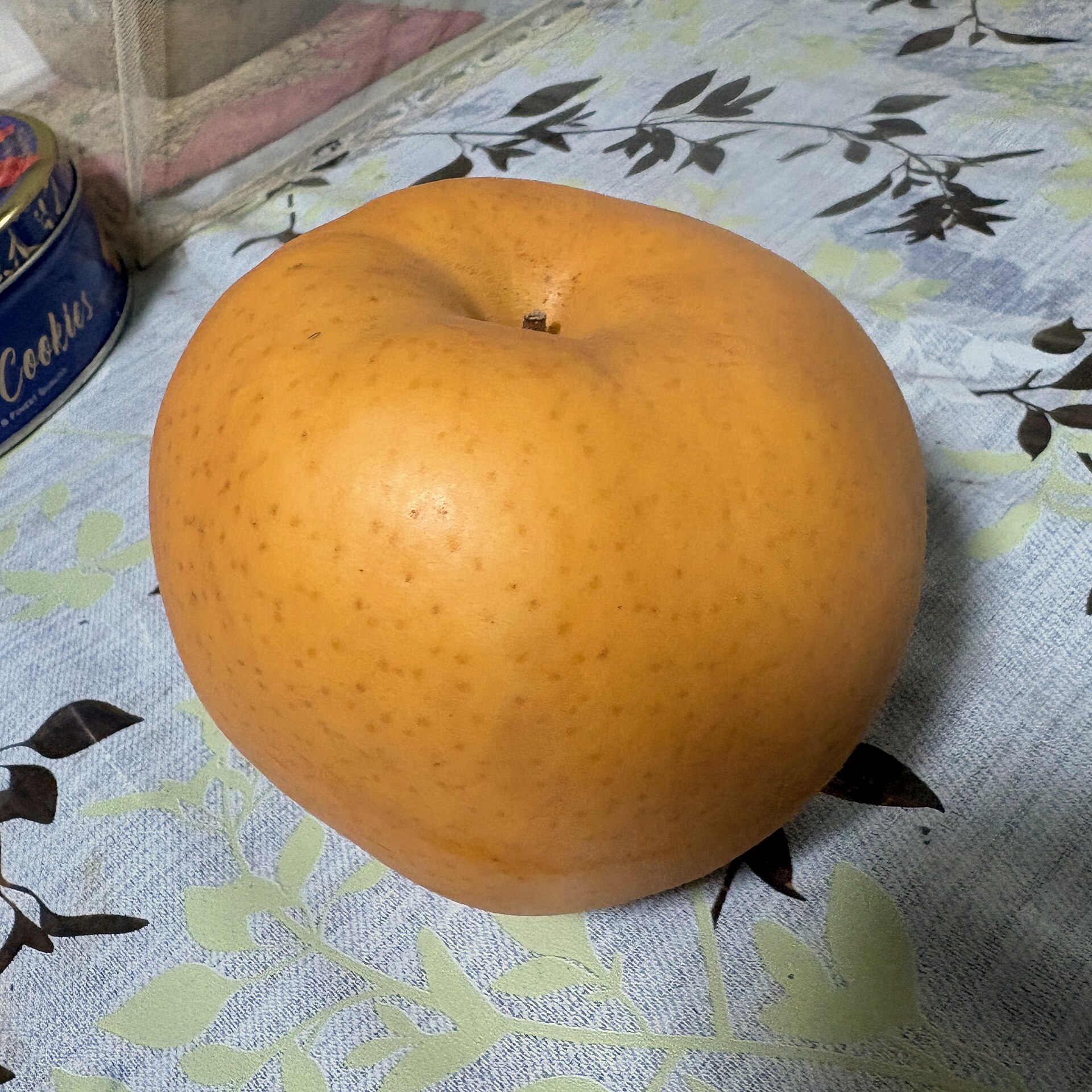 こぶし大の大きな梨。品種は「愛宕（あたご）」。