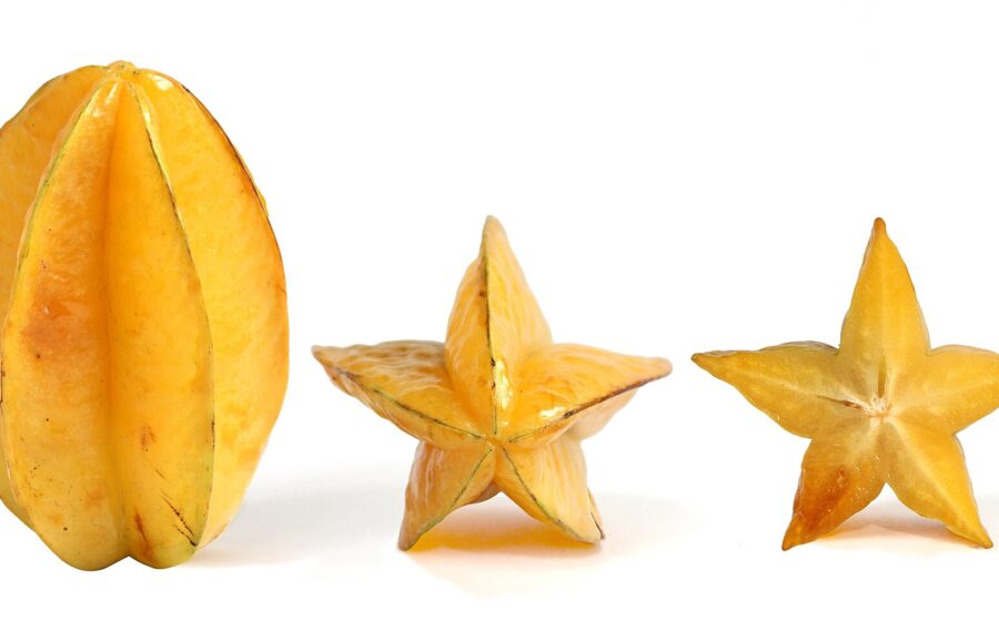Ripe Carambolas, also known as starfruit, the fruit of Averrhoa carambola tree: vertical, side and cross section profiles. The fruit in cross section is a five-pointed star, hence its name.