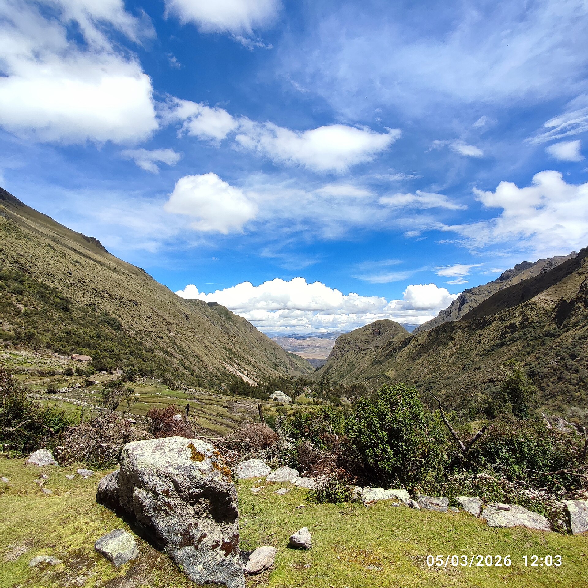 The picture depicts this natural landscape in the private conservation area called Suttoc Pacha, located in Urubamba province of the Cusco region, that belong to Peru. On the pathway to Chupani, an archaeological site, we can appreciate a glamorous forest where maintain ancient trees, unique species of flowers, alongside a clear river with rocks of various sizes scattered along its bed and riverbanks. This dense forest, characterised by countless tall, slender trees, some of them are yellow coloured bark species, such as Arrayan (Luma apiculata) and other Andean native trees for instance, Queuña (Polylepis), Aliso (Alnus acuminata), Chachacomo (Escallonia resinosa), etc. On this dirt and rock path winding through a dense forest, it is usually used by backpackers who frequently practice hiking and trekking, who head up to Lares. Due to the dense foliage that creates areas where the light and shadow interplay, enhancing the sense of depth and mystery within the forest.